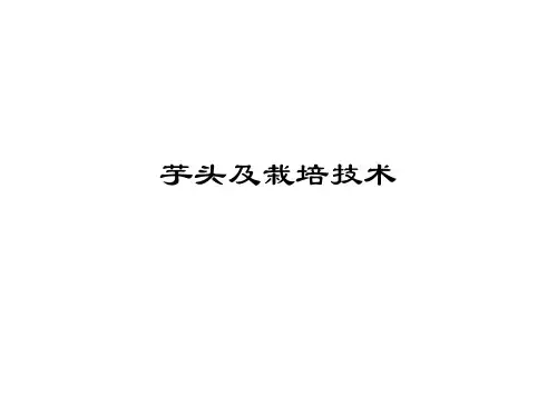 芋头及栽培技术