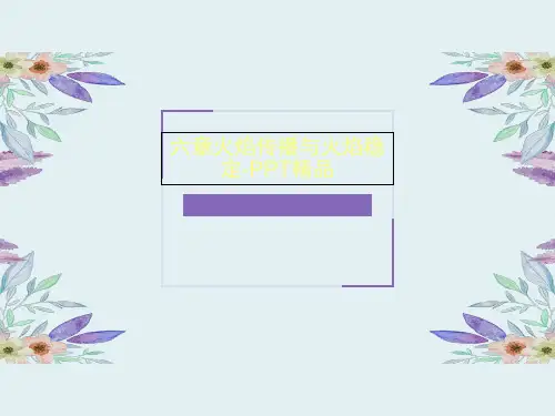 六章火焰传播与火焰稳定-PPT精品