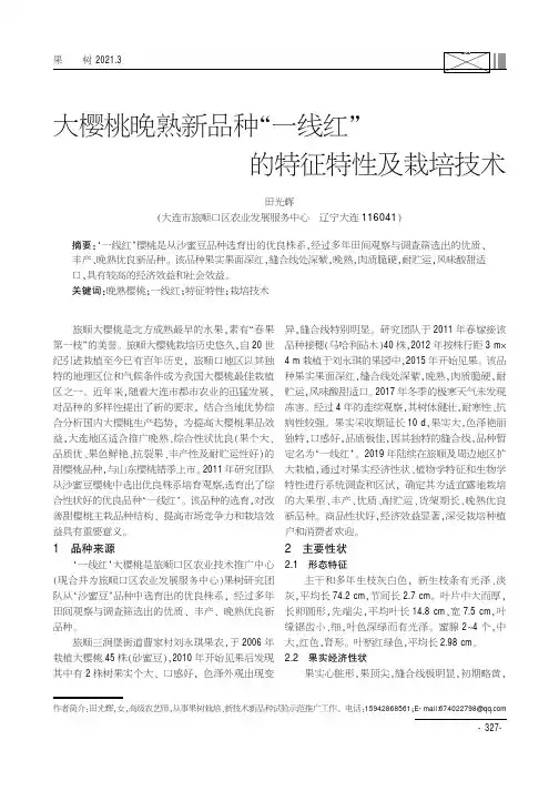 大樱桃晚熟新品种“一线红”的特征特性及栽培技术