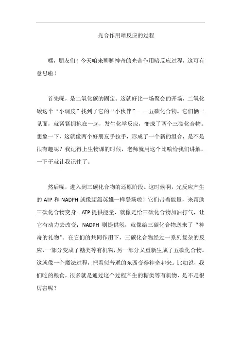 光合作用暗反应的过程