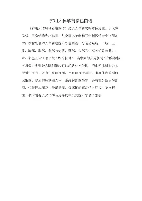 实用人体解剖彩色图谱