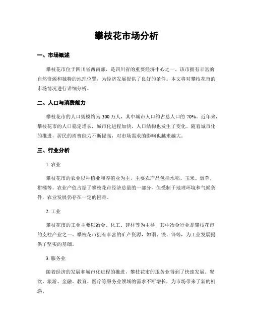 攀枝花市场分析
