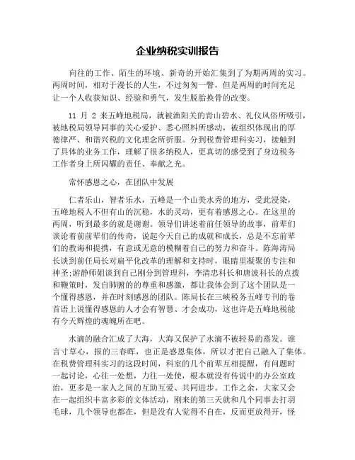企业纳税实训报告