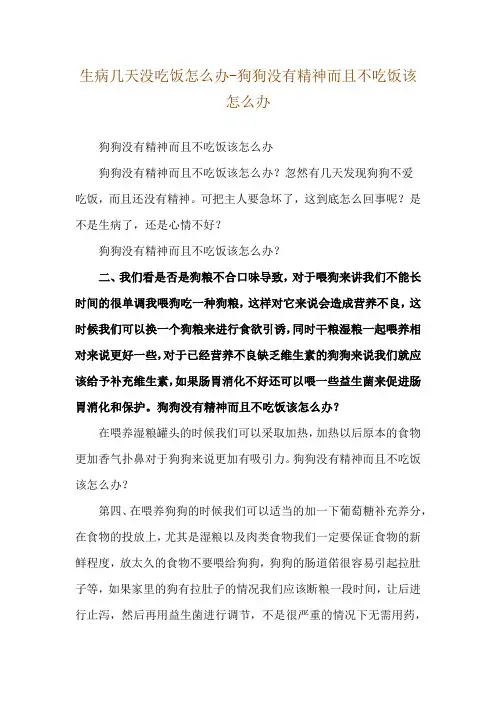 生病几天没吃饭怎么办-狗狗没有精神而且不吃饭该怎么办