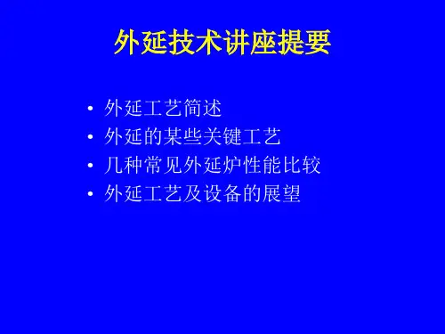 工艺技术6外延