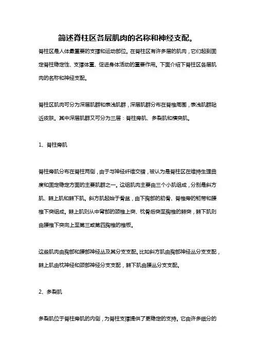 简述脊柱区各层肌肉的名称和神经支配。