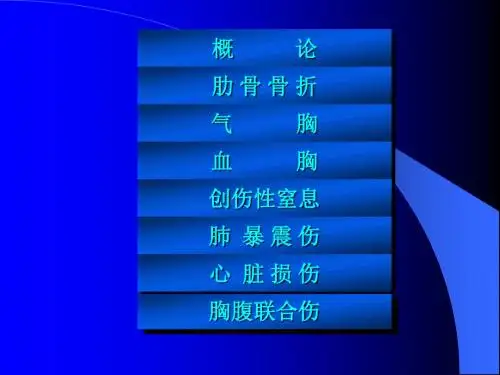 心胸外科 (PPTminimizer)