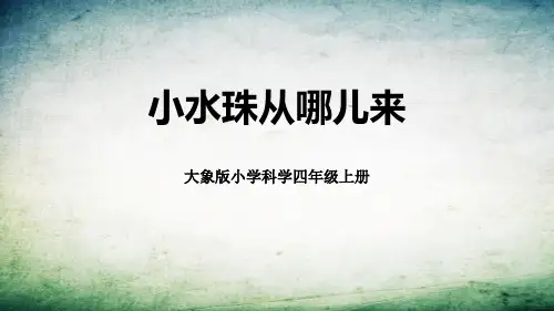 大象版四年级上册科学《小水珠从哪儿来》说课教学课件