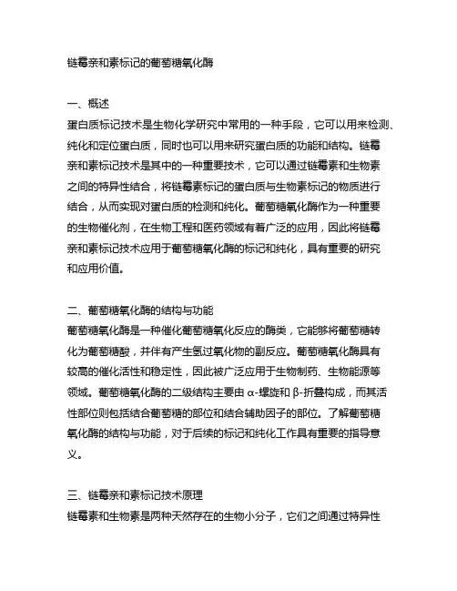 链霉亲和素标记的葡萄糖氧化酶