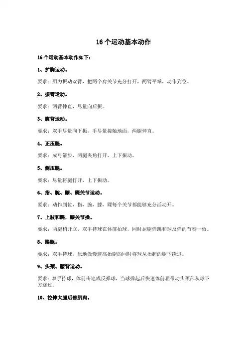 16个运动基本动作