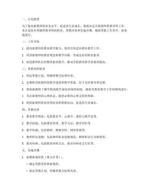 教师带教导师工作计划