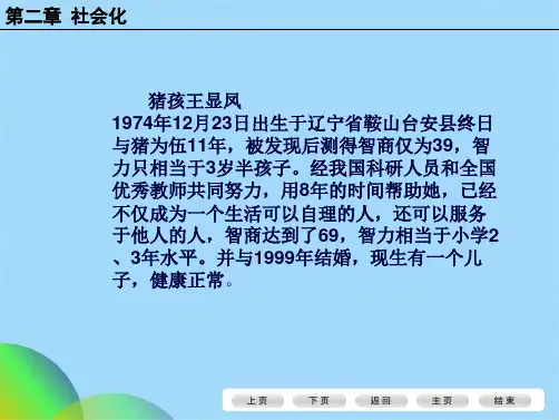 社会心理学 第二章社会化(共54张PPT)