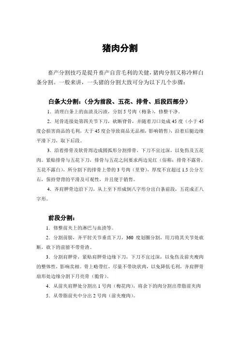 猪肉分割(解说词完善)
