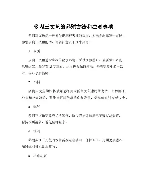 多肉三文鱼的养殖方法和注意事项