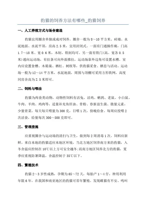 豹猫的饲养方法有哪些_豹猫饲养