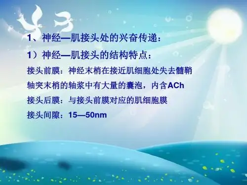 骨骼肌收缩课件