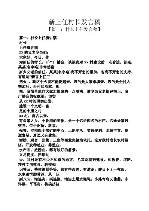 新上任村长发言稿