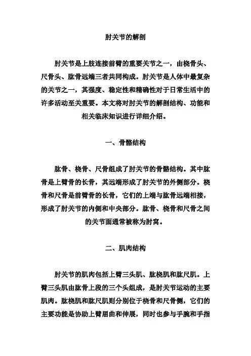 肘关节的解剖
