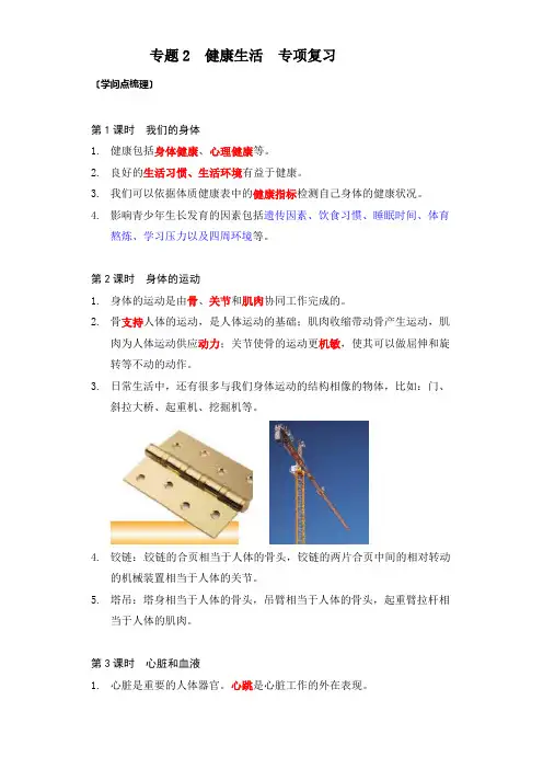 专题4 健康生活-教科版科学五年级上册
