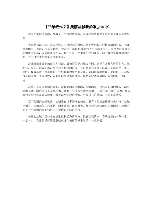 【三年级作文】美丽盐城我的家_800字