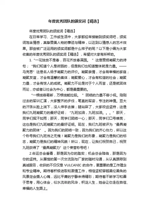 年度优秀团队的颁奖词【精选】