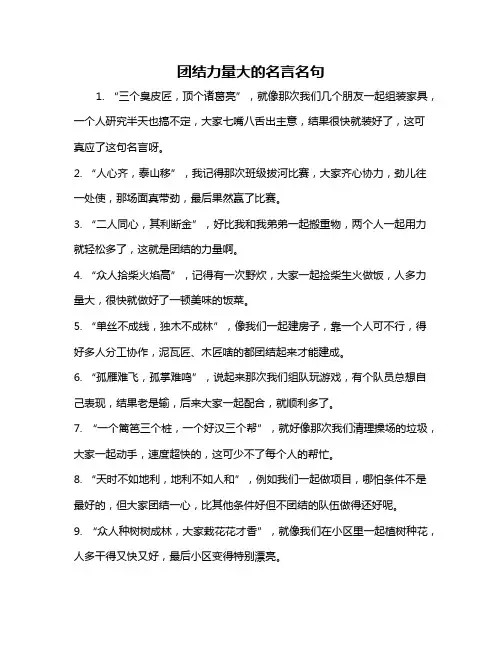 团结力量大的名言名句