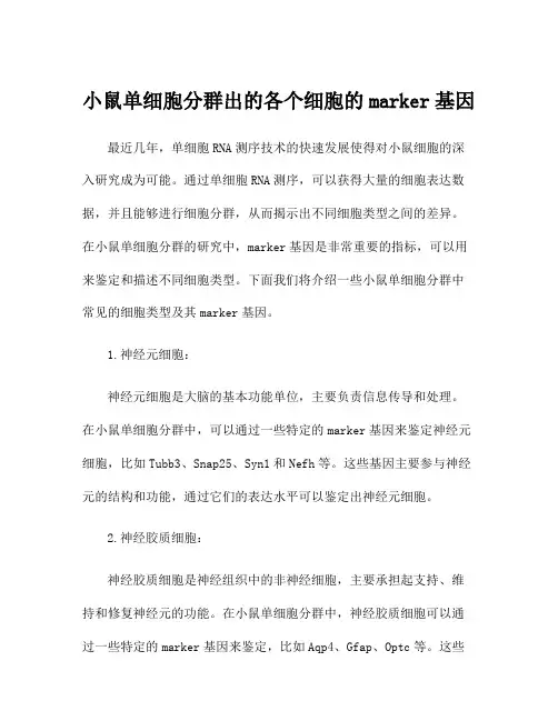 小鼠单细胞分群出的各个细胞的marker基因
