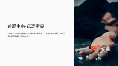 珍爱生命-远离毒品