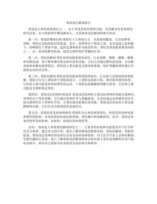 背部浅层解剖报告
