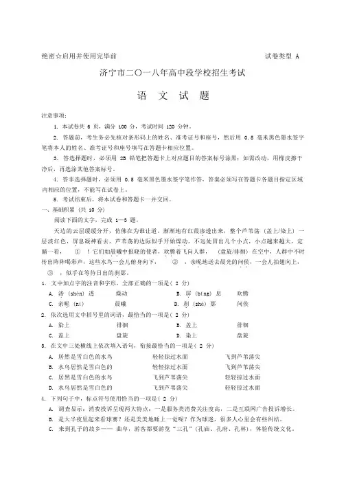 全国中考语文真题山东省济宁市及答案