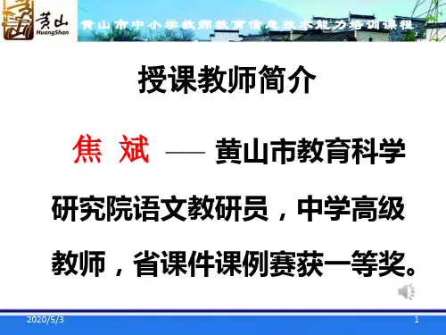 教学典型案例点评-PPT课件
