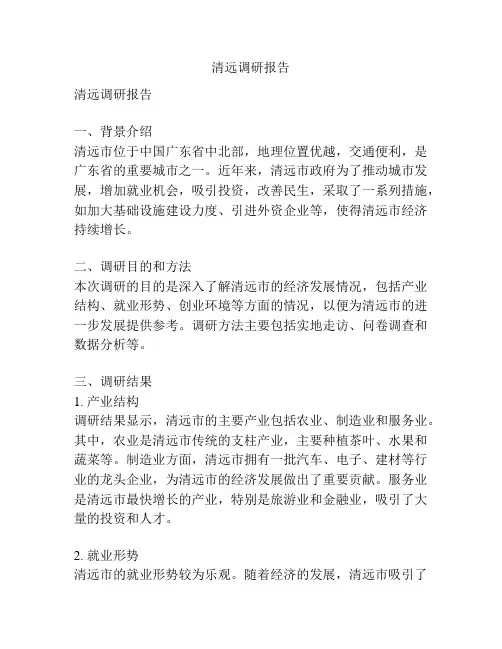 清远调研报告