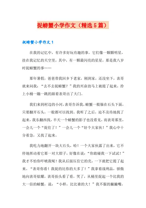 捉螃蟹小学作文(精选5篇)