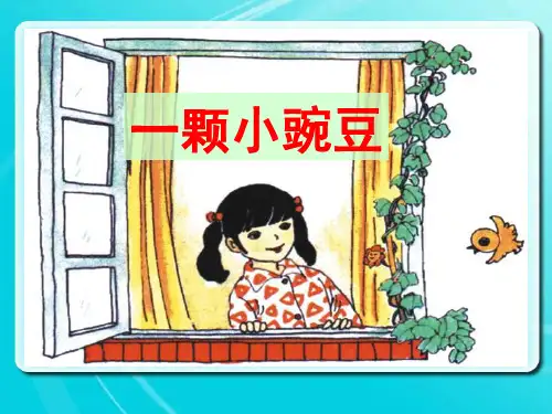五年级上册语文课件-2.11 一颗小豌豆丨沪教版(2015秋) (共14张PPT)