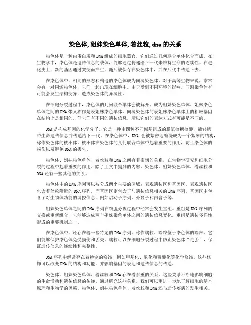 染色体,姐妹染色单体,着丝粒,dna的关系