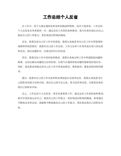 工作总结个人反省