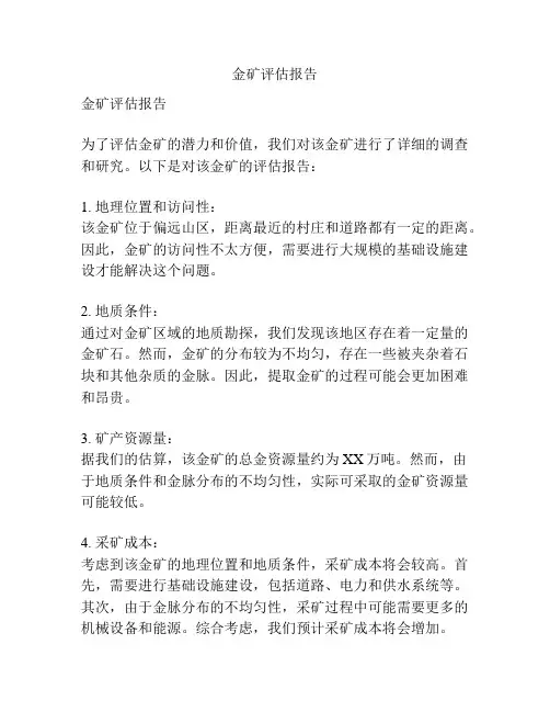 金矿评估报告