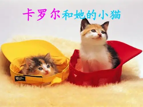 08卡罗尔和她的小猫