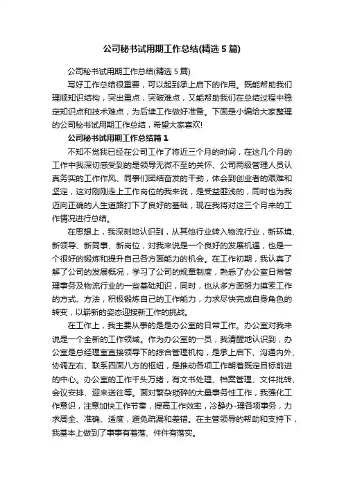 公司秘书试用期工作总结（精选5篇）