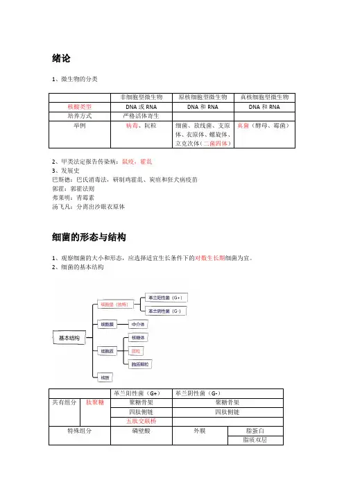 微生物学知识点总结