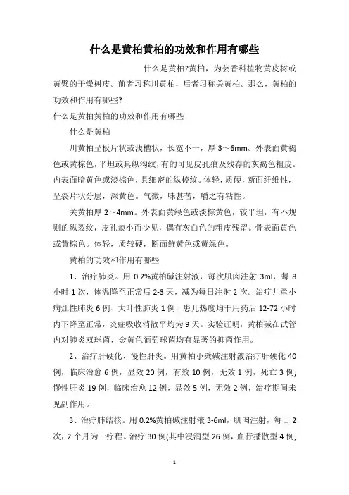 什么是黄柏黄柏的功效和作用有哪些