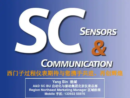 西门子仪表
