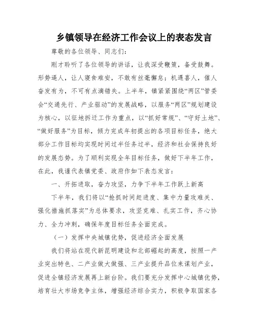 乡镇领导在经济工作会议上的表态发言
