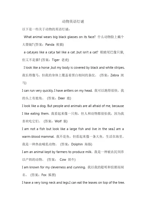 动物英语灯谜