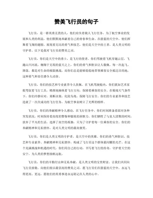 赞美飞行员的句子