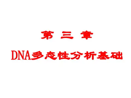 DNA.ppt