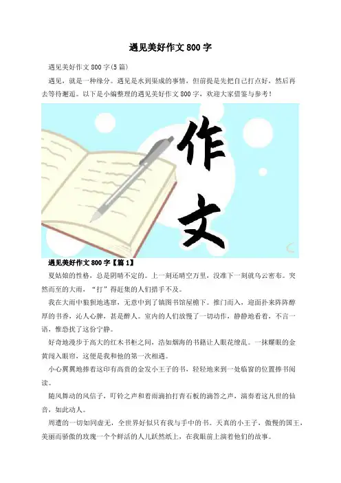 遇见美好作文800字