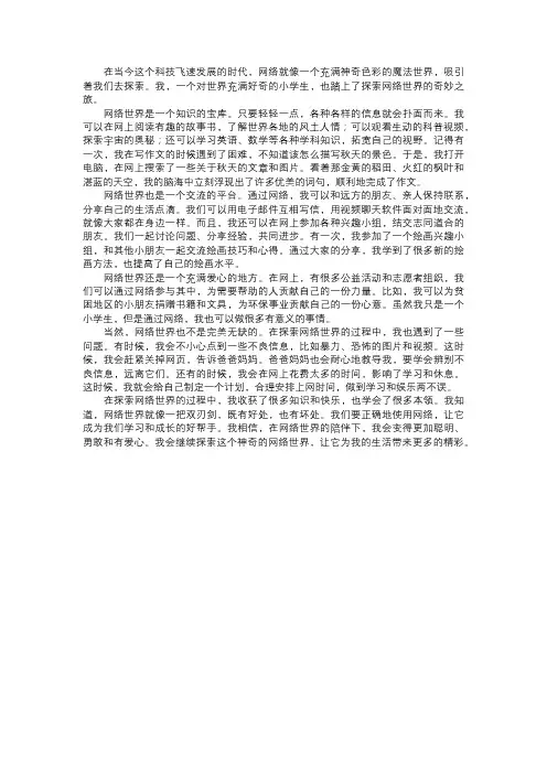 我探索的网络世界