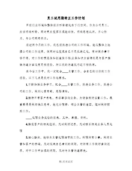 2024年员工试用期转正工作计划（八篇）