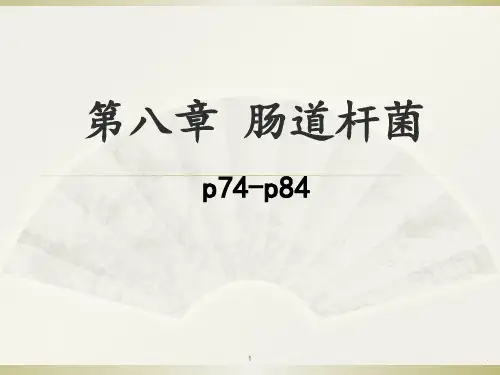 第二十一章-肠杆菌科细菌PPT课件